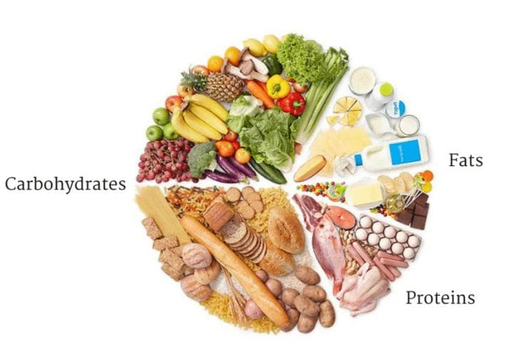 Lebih Baik Mana Antara Karbohidrat, Protein Dan Lemak Sebagai Sumber Energi