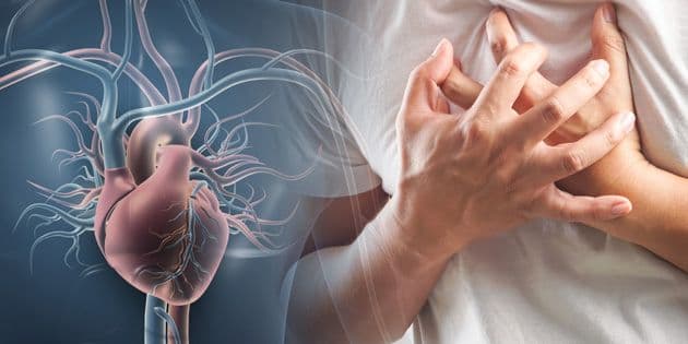 Bagaimana Cara Squalene Memelihara Kesehatan Jantung
