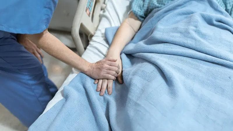 Squalene: Senyawa Laut Penjaga Kesehatan Pembuluh Darah dan Mencegah Stroke