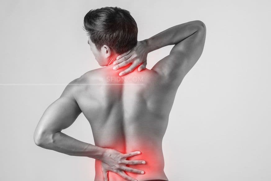 Squalene Bekerja Sebagai Anti Inflamasi