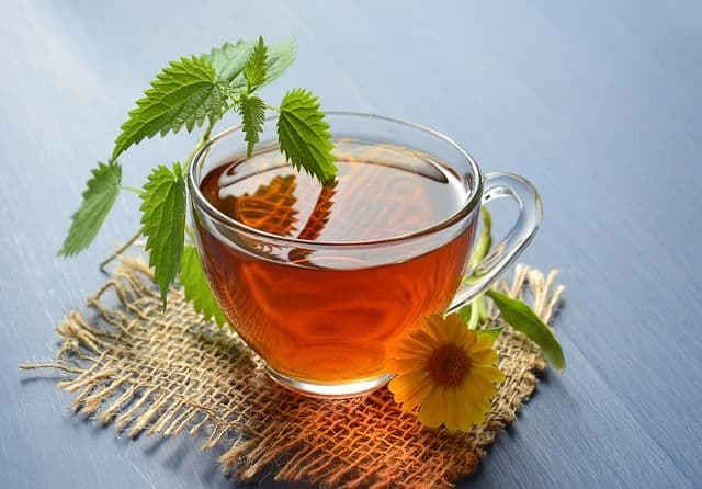 Rebusan Tanaman Herbal untuk Mengatasi Radang Tenggorokan