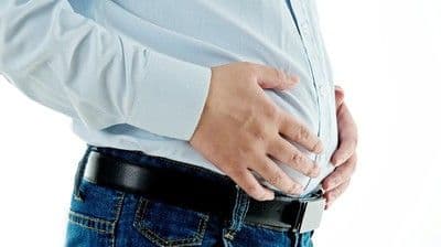 Rahasia Melawan Lemak Perut: Menu Makanan Diet Ampuh untuk Tubuh Sehat dan Perut Rata