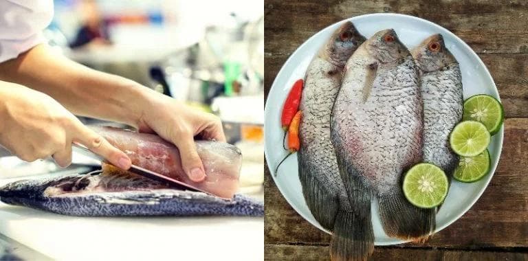 Temukan Sumber Nutrisi Terbaik: Bagian Ikan dengan Kandungan Gizi Tertinggi