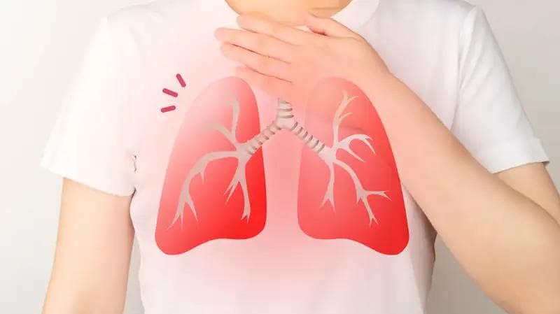 Squalene: Rahasia Kesehatan Paru-paru dari Dasar Laut yang Mengagumkan